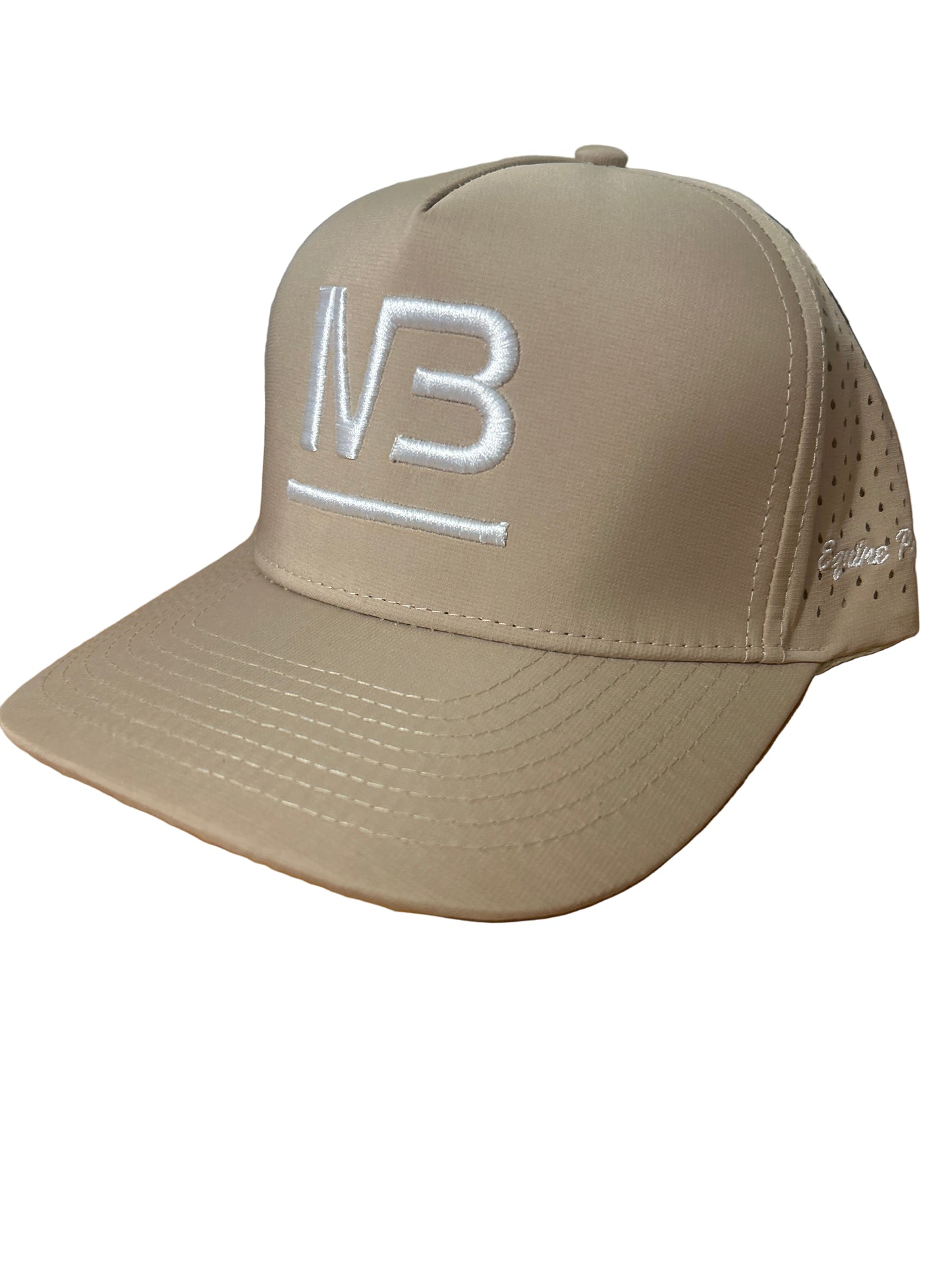 Tan Ball Cap (new style)