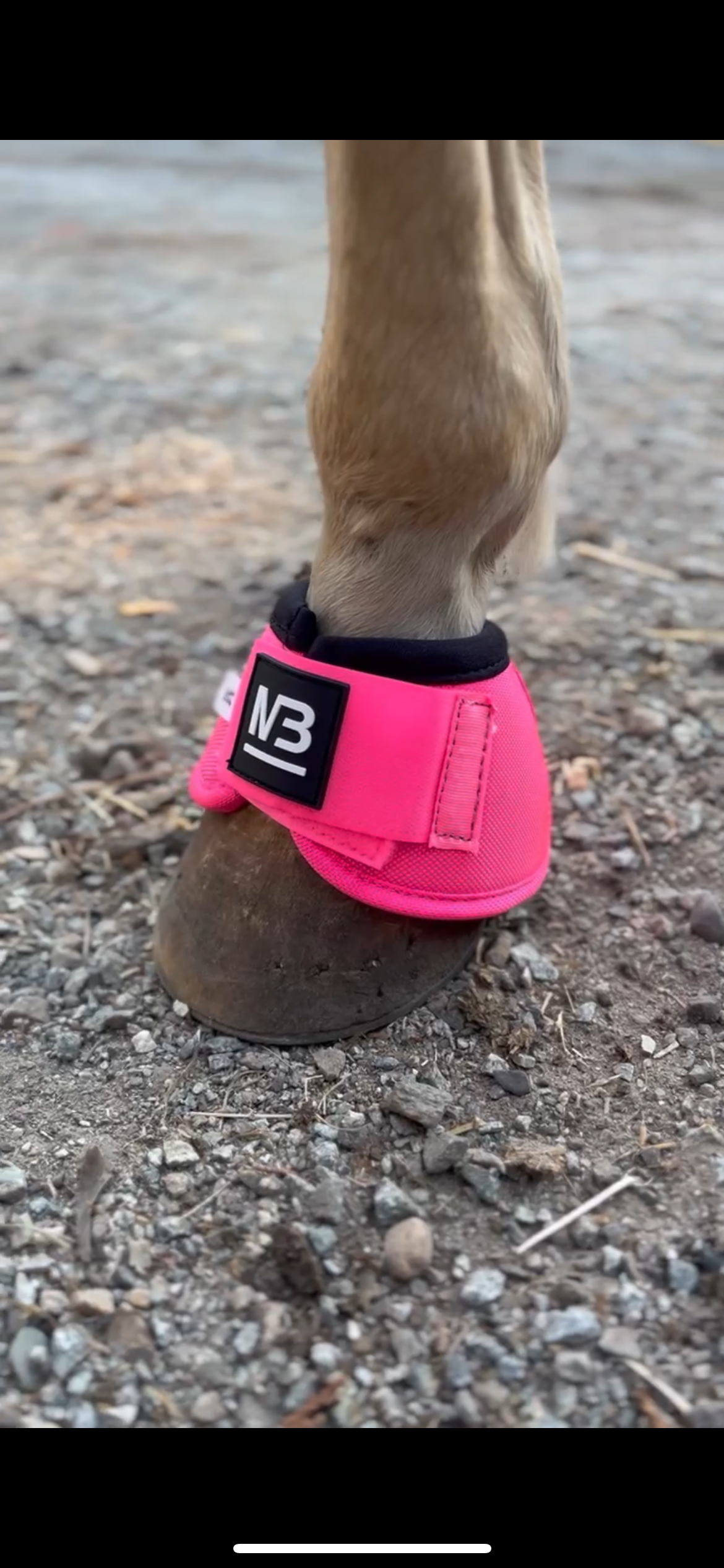 Bell boots (medium only)