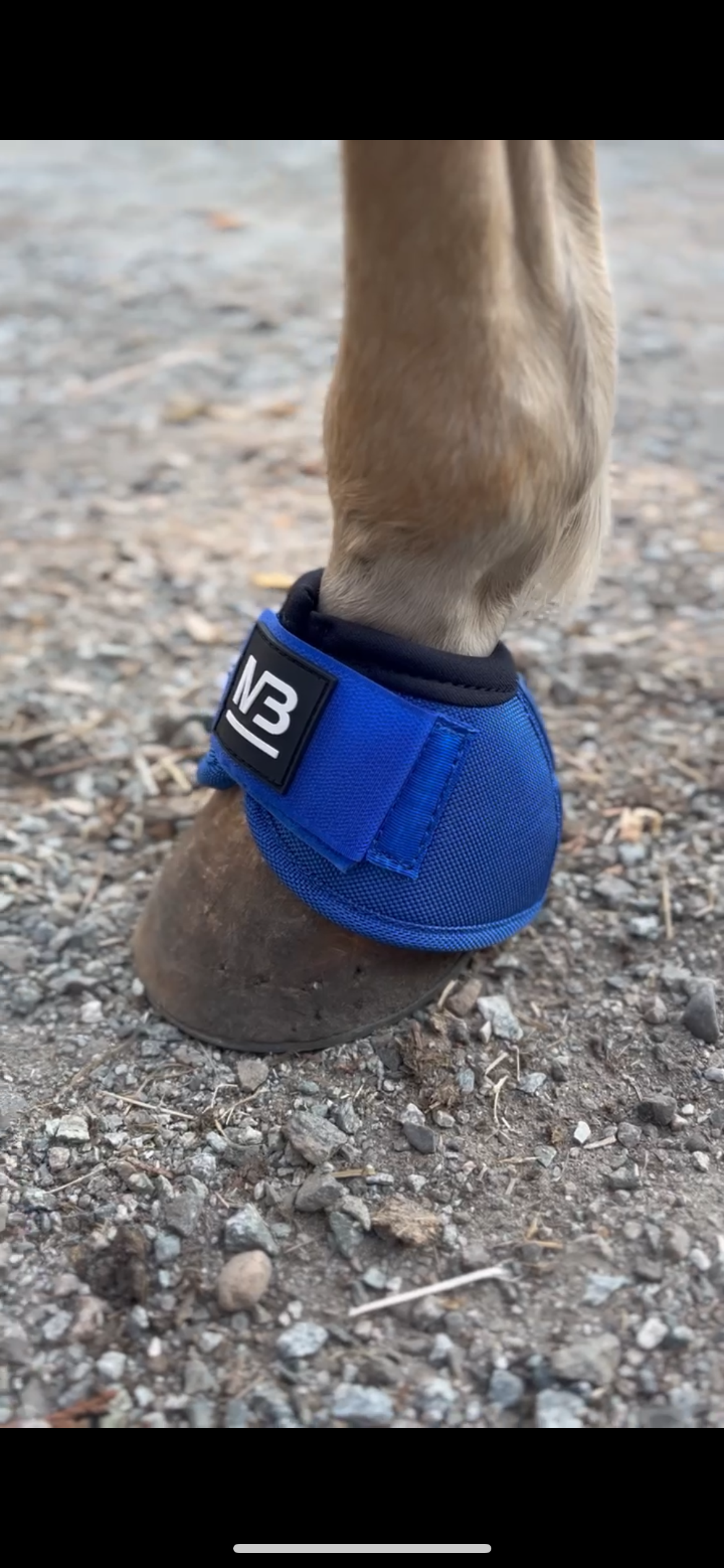 Bell boots (medium only)